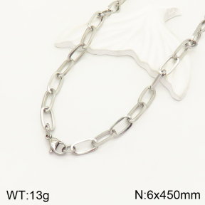 2N2004176avja-354  Stainless Steel Necklace