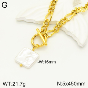 2N3001696bhia-354  Stainless Steel Necklace