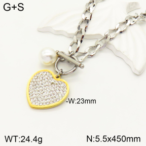 2N3001701bhia-354  Stainless Steel Necklace