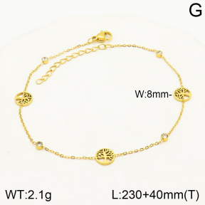 2A9001284vbmb-642  Stainless Steel Anklets