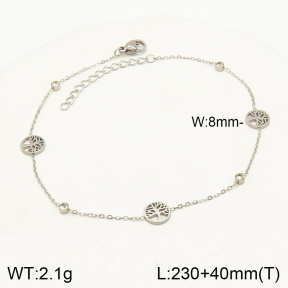 2A9001285vbll-642  Stainless Steel Anklets