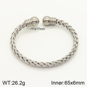 2BA201176ahjb-349  Stainless Steel Bangle