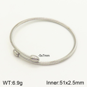 2BA201192vbnb-349  Stainless Steel Bangle