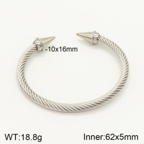 2BA201209vbpb-349  Stainless Steel Bangle