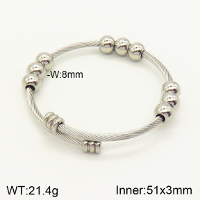 2BA201215vbpb-349  Stainless Steel Bangle