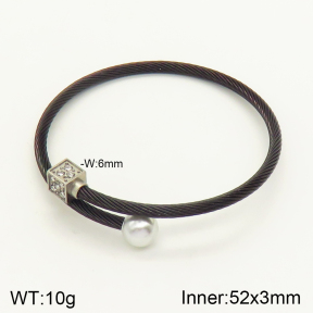 2BA300173ahjb-349  Stainless Steel Bangle