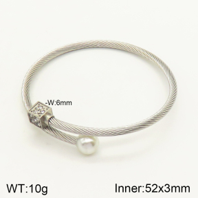 2BA300176vhha-349  Stainless Steel Bangle