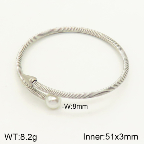 2BA300180vbnb-349  Stainless Steel Bangle