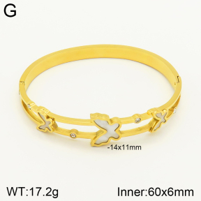 2BA300194vbll-689  Stainless Steel Bangle