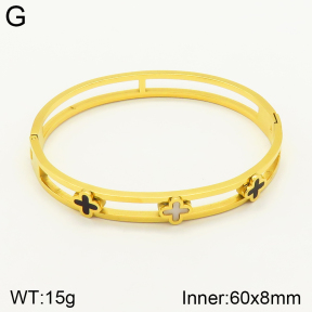 2BA300196vbll-689  Stainless Steel Bangle