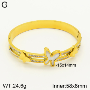 2BA300220bbov-689  Stainless Steel Bangle