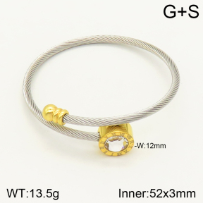 2BA401485bhva-349  Stainless Steel Bangle