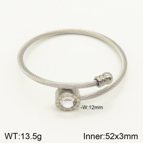 2BA401486vbpb-349  Stainless Steel Bangle