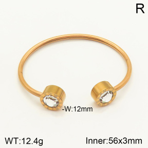 2BA401490ahjb-349  Stainless Steel Bangle