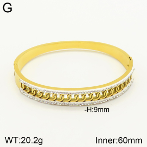 2BA401511vbnl-689  Stainless Steel Bangle