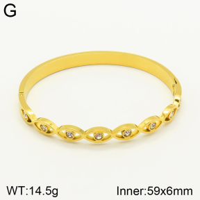 2BA401517vbmb-689  Stainless Steel Bangle