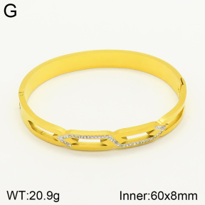 2BA401518vbnb-689  Stainless Steel Bangle