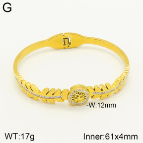 2BA401521vbnl-689  Stainless Steel Bangle