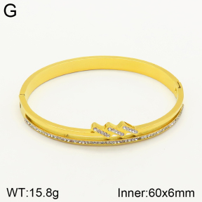 2BA401523vbnl-689  Stainless Steel Bangle