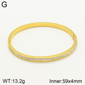 2BA401524vbnb-689  Stainless Steel Bangle