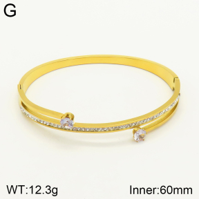 2BA401528vbnb-689  Stainless Steel Bangle