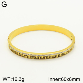 2BA401529vbnl-689  Stainless Steel Bangle