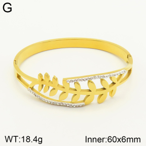 2BA401531vbmb-689  Stainless Steel Bangle