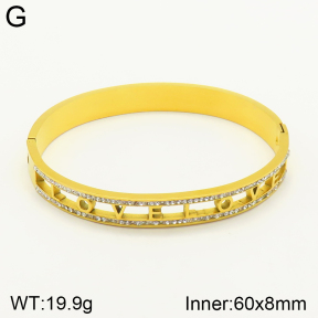 2BA401534vbnl-689  Stainless Steel Bangle