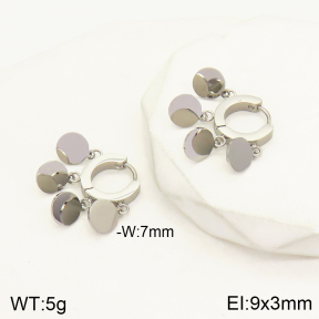 2E2004188vbnl-669  Stainless Steel Earrings