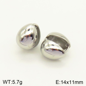 2E2004190aaki-689  Stainless Steel Earrings