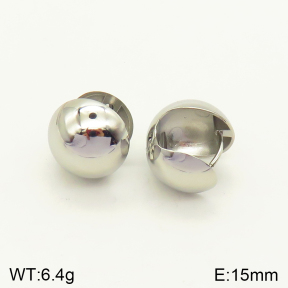 2E2004192aaki-689  Stainless Steel Earrings