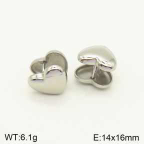 2E2004194aaki-689  Stainless Steel Earrings