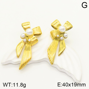 2E3002290vbpb-669  Stainless Steel Earrings