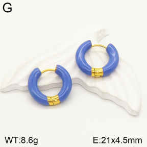 2E3002300bbml-689  Stainless Steel Earrings