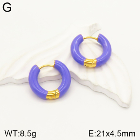 2E3002301bbml-689  Stainless Steel Earrings