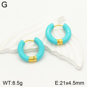 2E3002303bbml-689  Stainless Steel Earrings