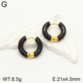 2E3002305bbml-689  Stainless Steel Earrings