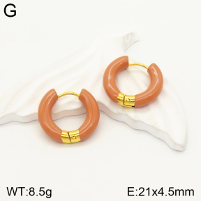 2E3002307bbml-689  Stainless Steel Earrings