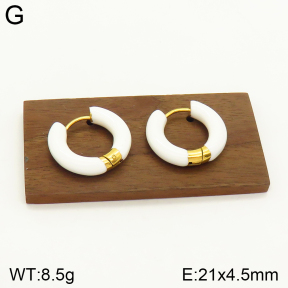 2E3002308bbml-689  Stainless Steel Earrings