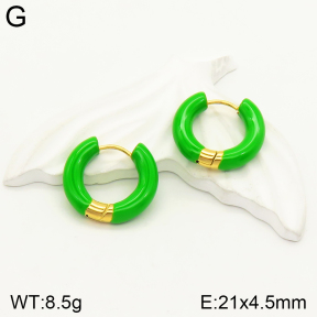 2E3002310bbml-689  Stainless Steel Earrings