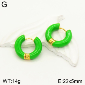 2E3002311vbnl-689  Stainless Steel Earrings