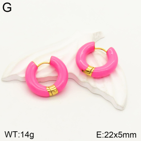 2E3002312vbnl-689  Stainless Steel Earrings