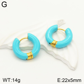 2E3002316vbnl-689  Stainless Steel Earrings