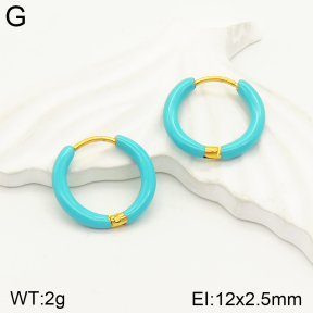 2E3002319aakl-689  Stainless Steel Earrings