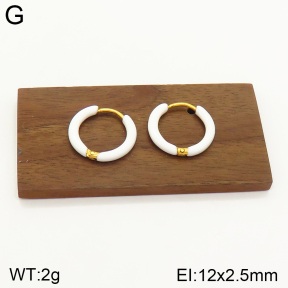 2E3002322aakl-689  Stainless Steel Earrings