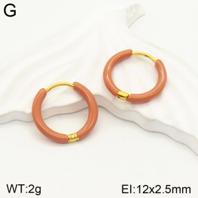 2E3002323aakl-689  Stainless Steel Earrings