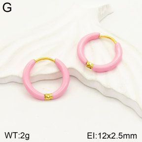 2E3002324aakl-689  Stainless Steel Earrings