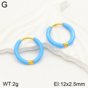 2E3002327aakl-689  Stainless Steel Earrings