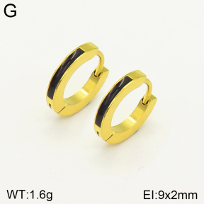 2E3002328aaji-689  Stainless Steel Earrings