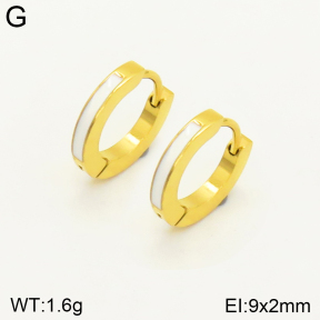 2E3002329aaji-689  Stainless Steel Earrings